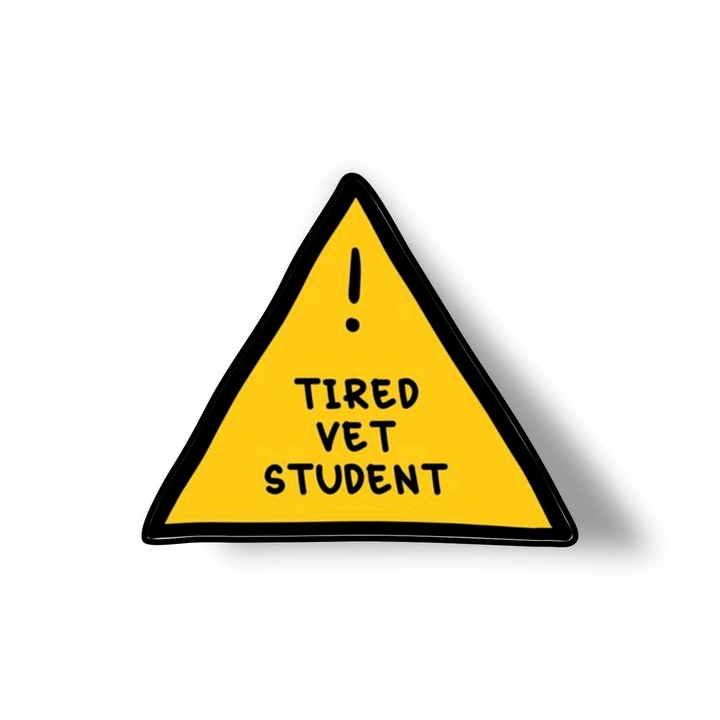 Insigna din lemn cu brosa Tired vet student, multicolor, 3 cm
