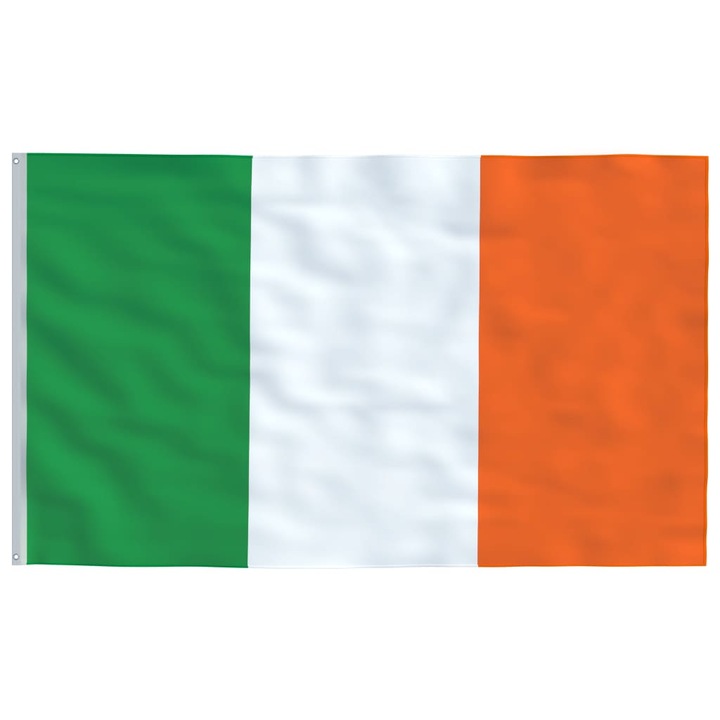 Знаме на Ирландия и алуминиев стълб vidaXL, 5,55 м