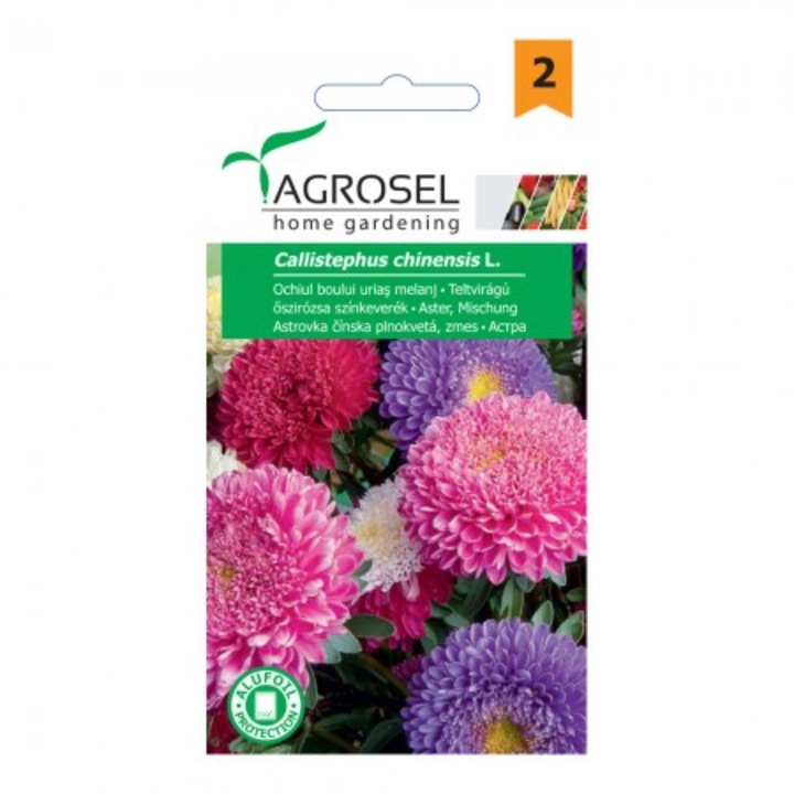 Seminte flori Ochiul boului urias melanj, 1 gram, Agrosel