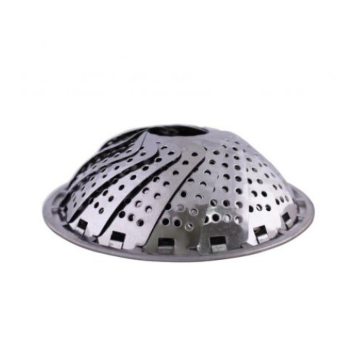 Aparat cu abur EK-24PAR