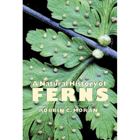 A Natural History of Ferns, Robbin C. Moran