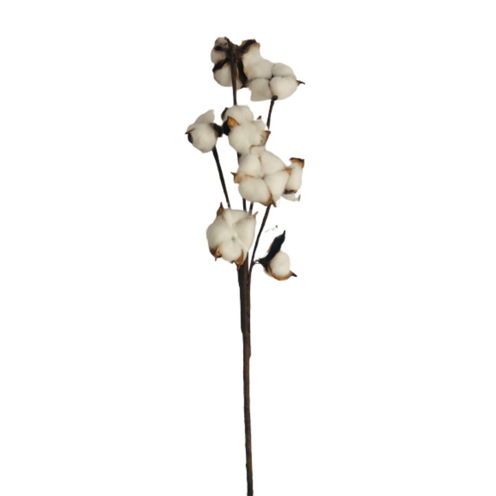 Floare de bumbac, 40 cm