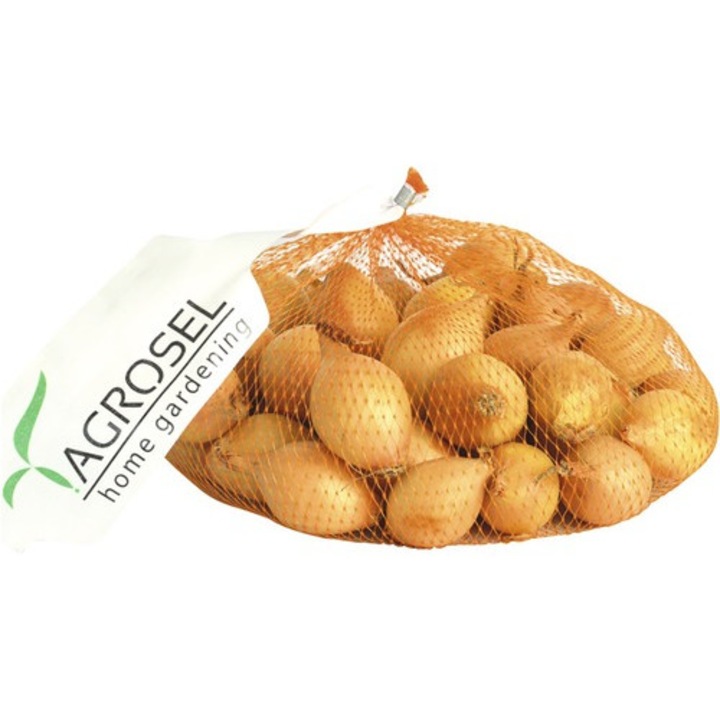 Кръгли луковици жълт лук 21-24 мм, 350 гр