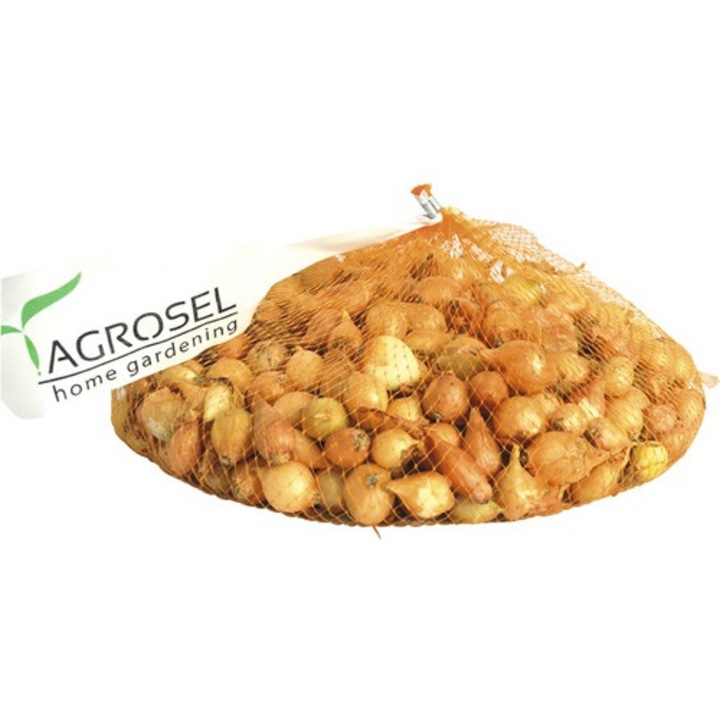 Bulbi arpagic galben rotund 16-21 mm, 350 g