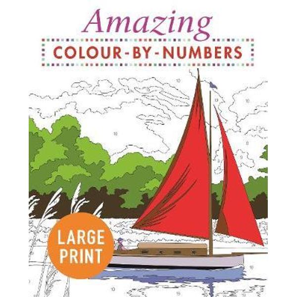 Amazing ColourbyNumbers Large Print Publishing Arcturus eMAG.ro