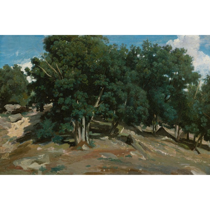 Poster perete, Zakito Posters, 30x20cm Fontainebleau: Stejari in Bas-Bréau