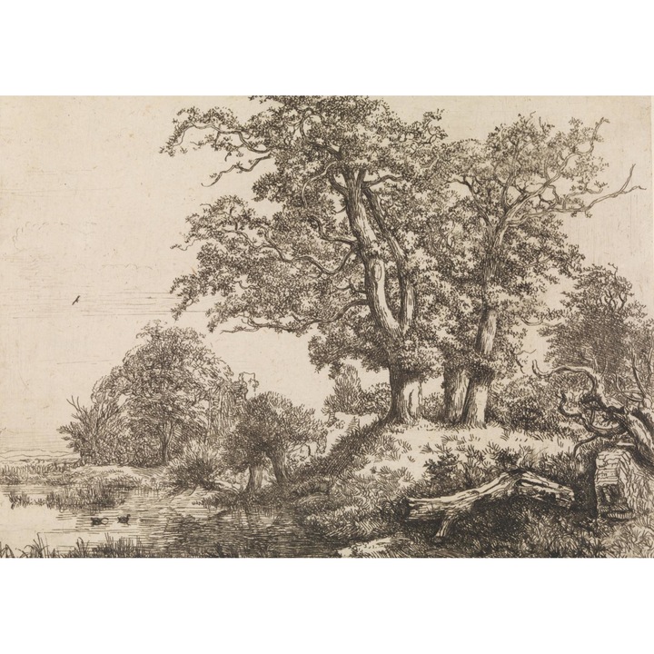 Poster perete, Zakito Posters, 42x29,7cm Trei Stejari