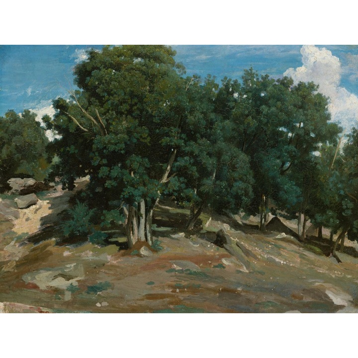 Poster perete, Zakito Posters, 40x30cm Fontainebleau: Stejari in Bas-Bréau