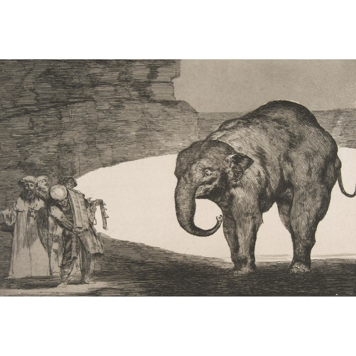 Poster perete, Zakito Posters, 30x20cm "Animal Folly" cu "Disparates"