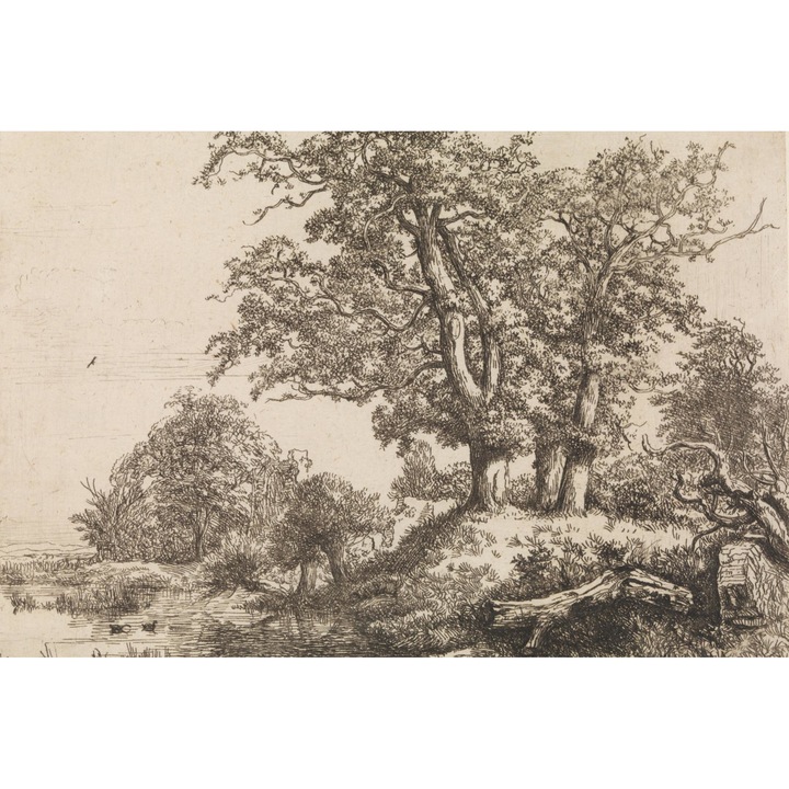 Poster perete, Zakito Posters, 45x30cm Trei Stejari