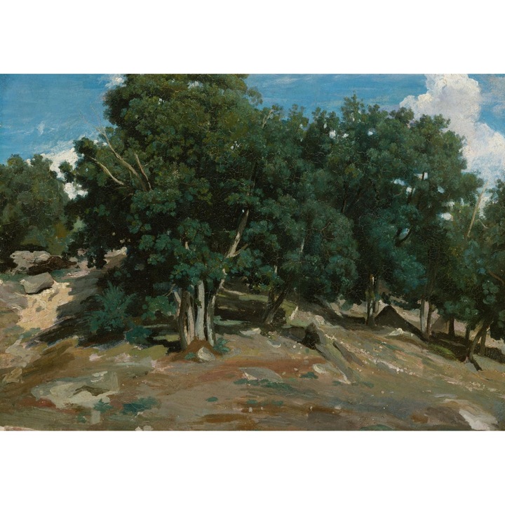 Poster perete, Zakito Posters, 59,4x42cm Fontainebleau: Stejari in Bas-Bréau