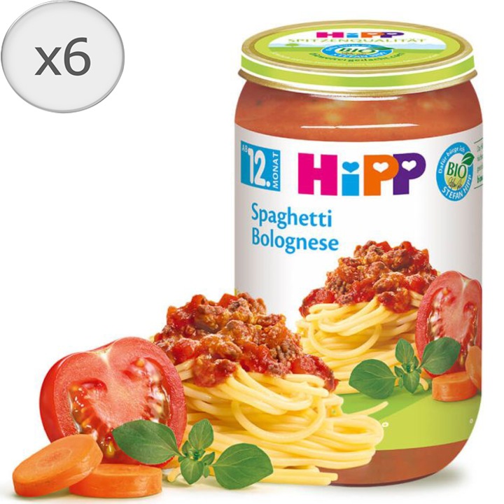 Pachet 6 x Meniu Spaghetti Bolognese, 250 g, Hipp, de la 12 luni