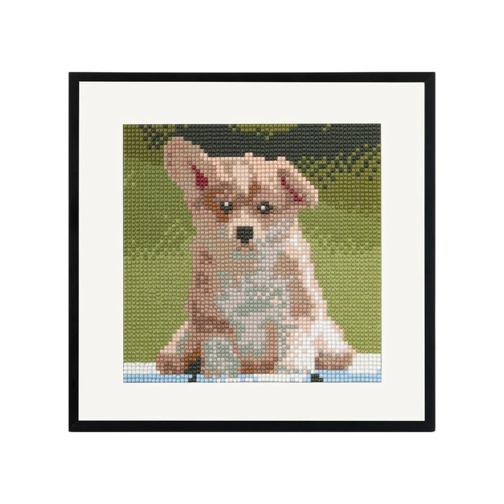 Set goblen cu diamante, fara sasiu, Catel, 20x20 cm