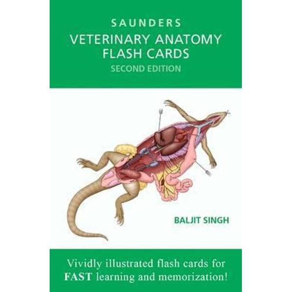 Veterinary Anatomy Flash Cards eMAG.ro