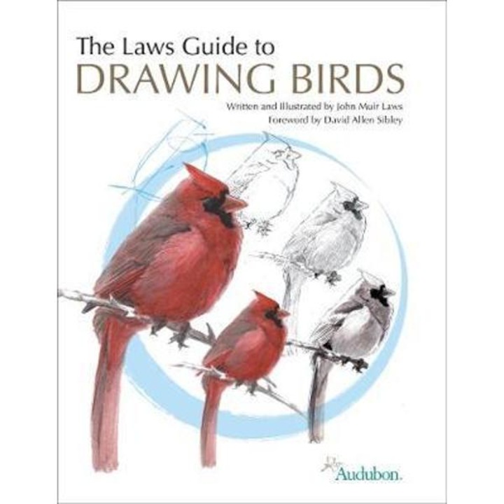 Laws Guide To Drawing Birds - John Muir Laws