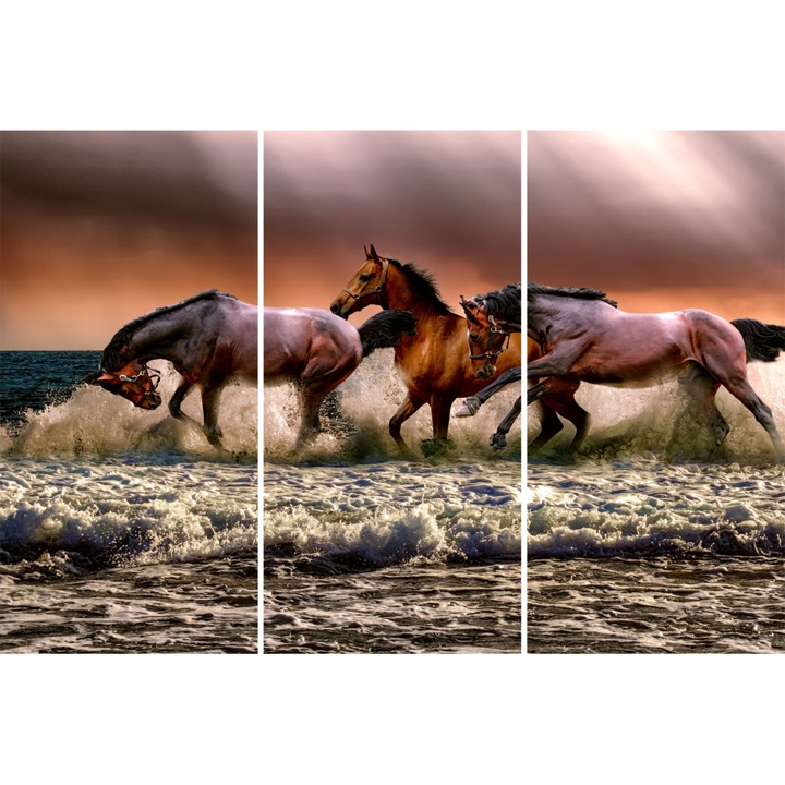Tablou Sticla Acrilica 3mm, Horses, 3 piese, 130 X 195 cm