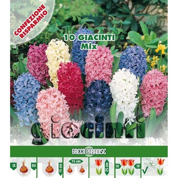 Bulbi Linea  Bulbi Linea