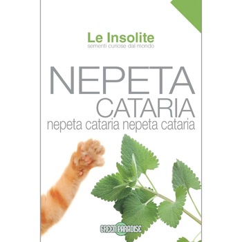 Seminte Le Insolite - MENTA PISICII (CATUSNICA) 4G Seminte Le Insolite - MENTA PISICII (CATUSNICA) 4G