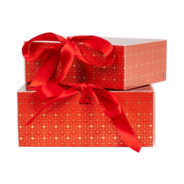 Set 2 cutii cu forma dreptunghiulara, rosu / CD4921_rosu