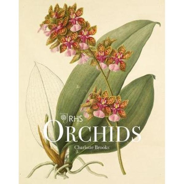Rhs Orchids - Charlotte Brooks