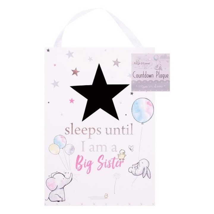Placuta cu mesaj Sleeps until I am a big sister 19x14 cm Hugs and Kisses