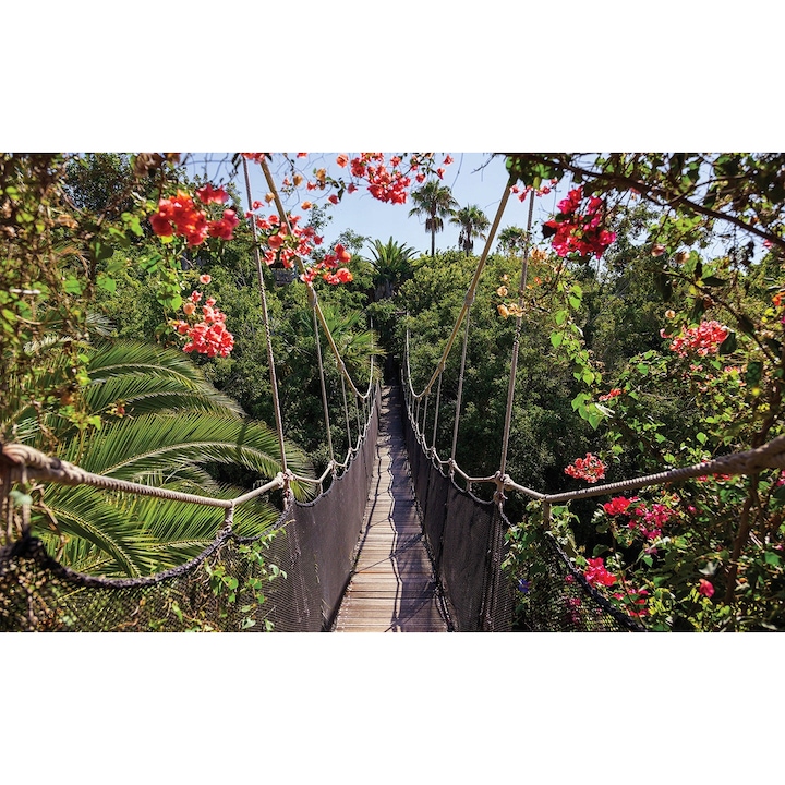 Fototapet Padure Natura 3D Podul Jungla 254x184 cm, Modern Tapet
