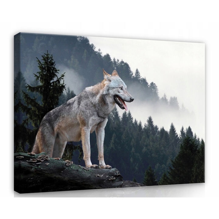 Tablou Canvas Wolf Padure Natura Animale 60x40 cm, Modern, Design, Pentru Living Dormitor Camera De Zi, Creative Decor
