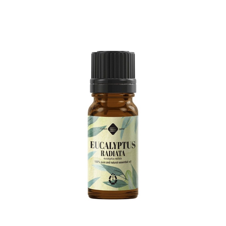 Ulei esential de Eucalipt Radiata, 10ml