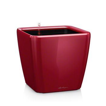 Ghiveci Lechuza Quadro Premium 35/33CM LS - set rosu 16167 Ghiveci Lechuza Quadro Premium 35/33CM LS - set rosu 16167