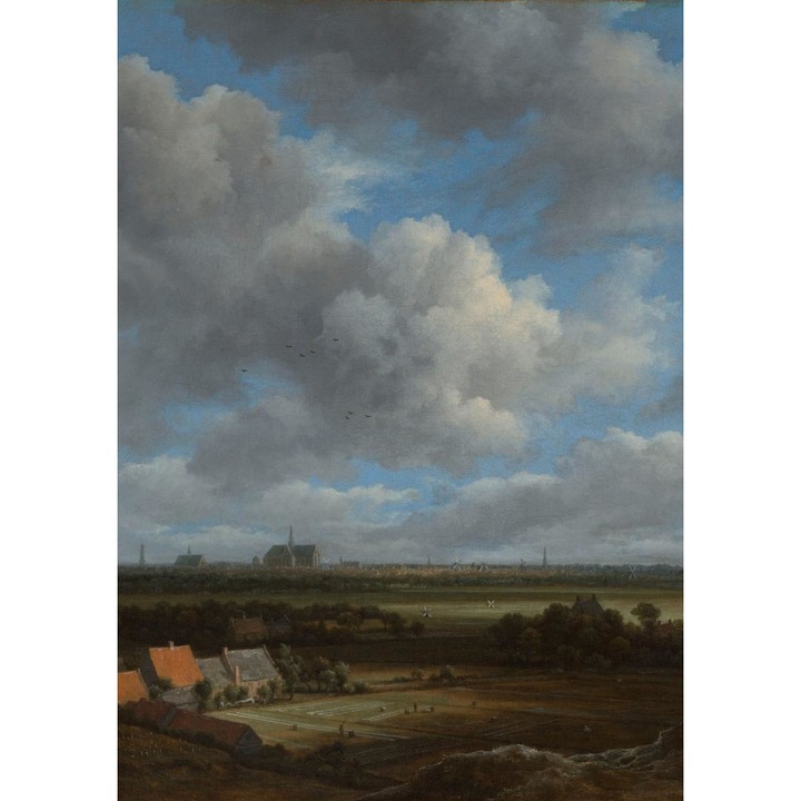 Poster perete, Zakito Posters, 21x29,7cm Vedere a orasului Haarlem dinspre nord-vest, cu campurile de albire in prim-plan