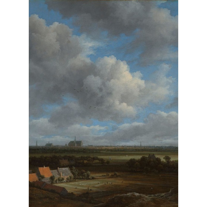 Poster perete, Zakito Posters, 20,5x28,4cm Vedere a orasului Haarlem dinspre nord-vest, cu campurile de albire in prim-plan