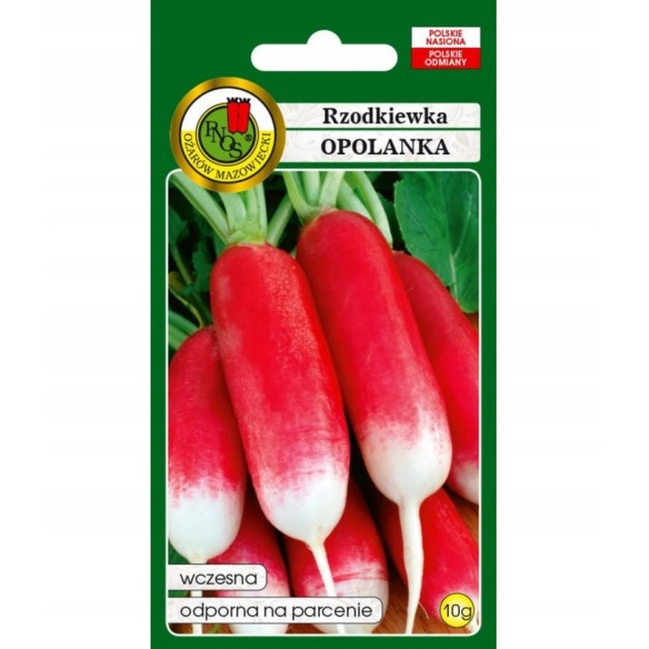 Seminte de ridiche, Pnos, 10g