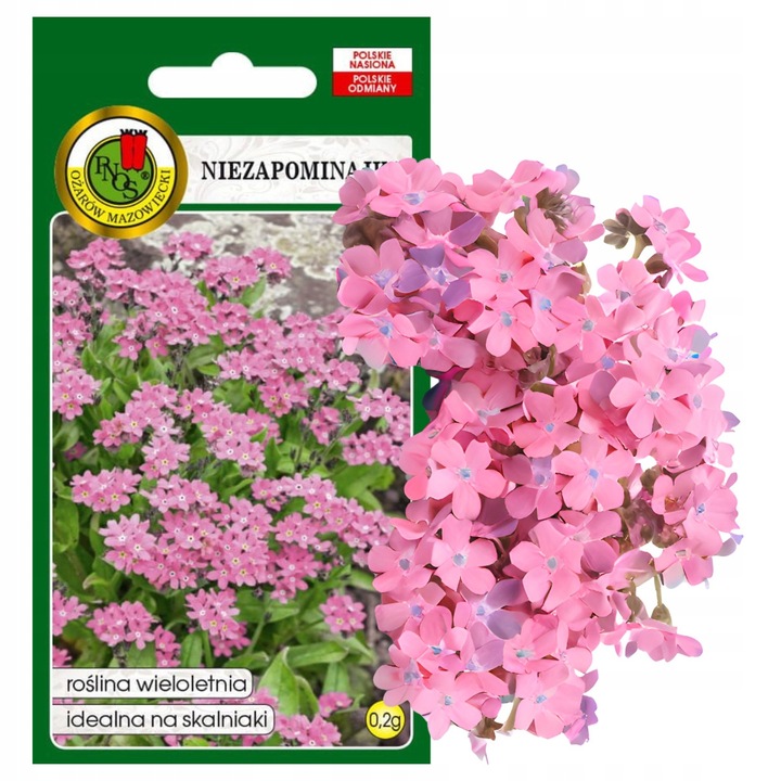 Semințe De Floare De Nu Mă Uita, Pnos, Înălțime 15 25 cm, Înflorire V Vi În Al Doilea An De Cultivare, Poziție Soare Și Semi Umbră, Număr De Semințe 1500 2000 În g, 0.2 g, Roz