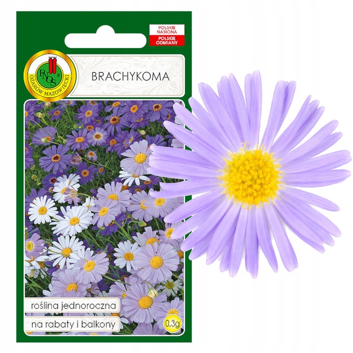 Semințe De Brăchicome, Pnos, Înălțime 20 40 cm, Înflorire Vi X, Poziție Soare, Culoarea Florii Amestecat, 0.3 g, Multicolor