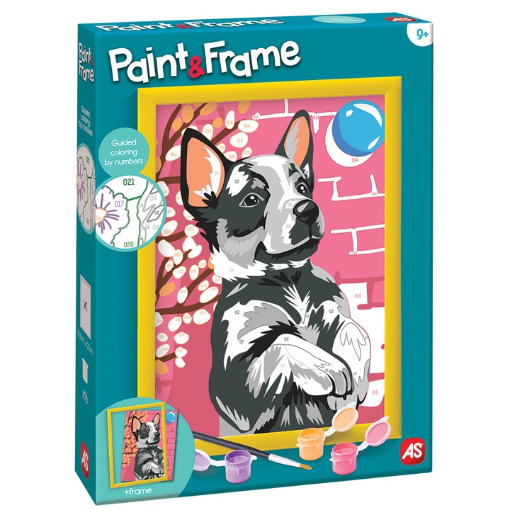 Kreatív számfestő készlet AS - Paint & Frame, játékos Husky