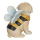Figurina polirasina Catelus 12x9x13 cm