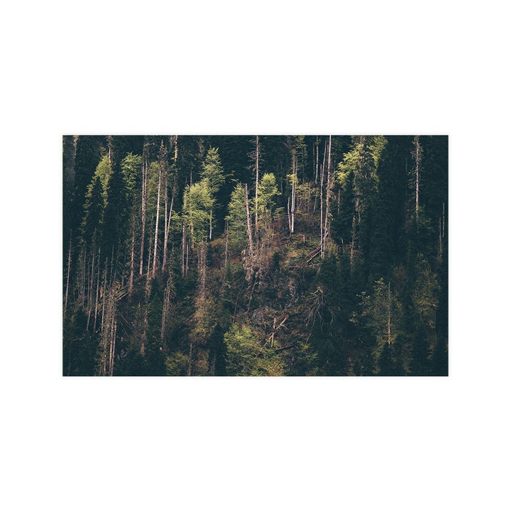 Öntapadó 3d tapéta, Mosható, Dark Mountain Forests, 150x240