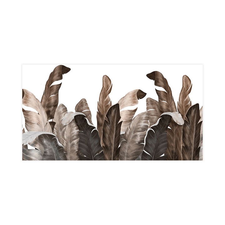 Fototapet autoadeziv, Lavabil, Tanned Feathers, 255x480 cm