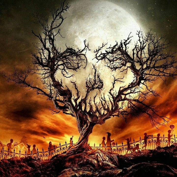 Set mozaic de broderie cu diamante 5D, model DP158, 40x40 cm, Multicolor