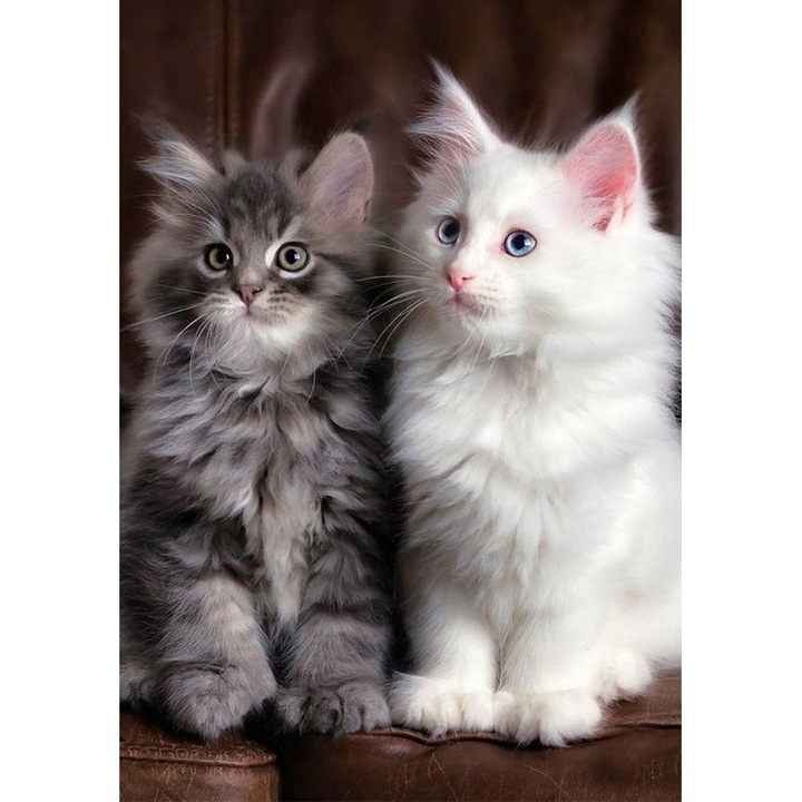 Set mozaic de broderie cu diamante 5D, model DP155, 40x30 cm, Multicolor