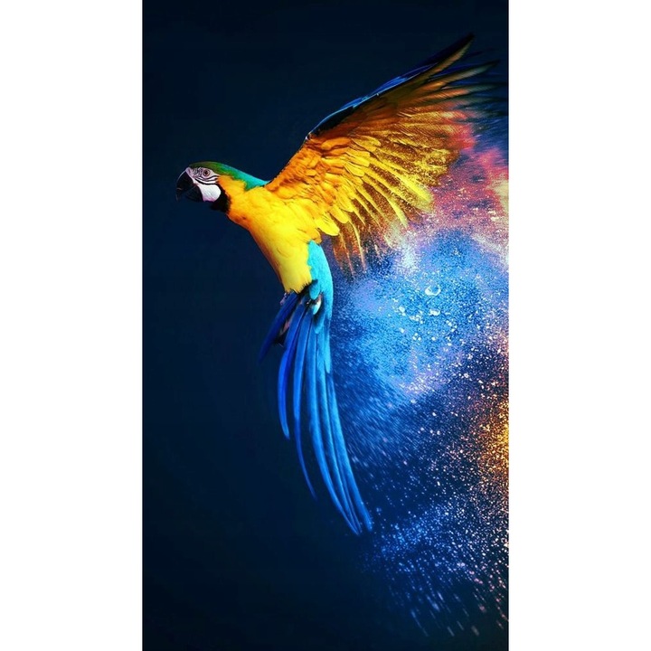 Set mozaic de broderie cu diamante, model DP201, 60x40cm, Multicolor