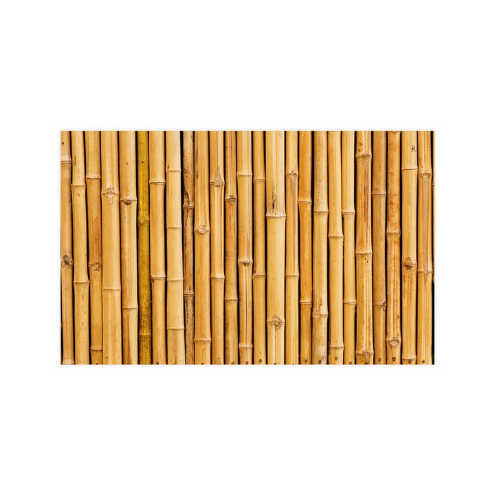 Öntapadó 3d tapéta, Mosható, Yellow Bamboo Sticks, 150x240