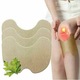 Plasturi terapeutici cu Pelin TheraPatches pentru ameliorarea durerilor articulare, Feifan, Set 12 buc