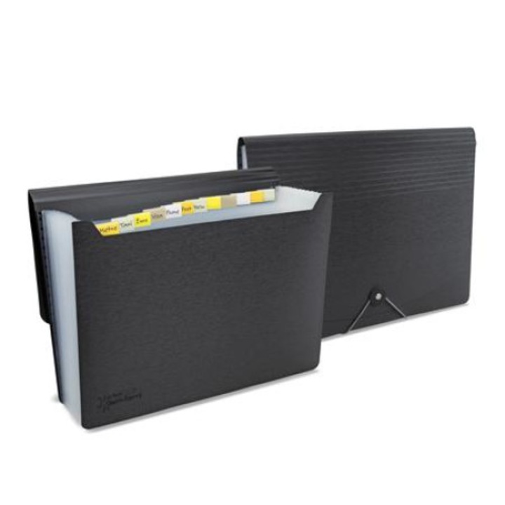 Dosar tip acordeon, Rapesco, Germ-Savvy™, A4, PP, 13 compartimente, Negru