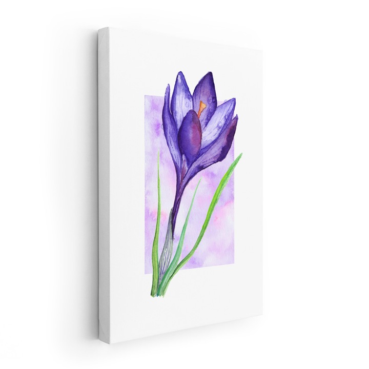 Tablou Canvas, Floare de Crocus 900 x 1300 mm