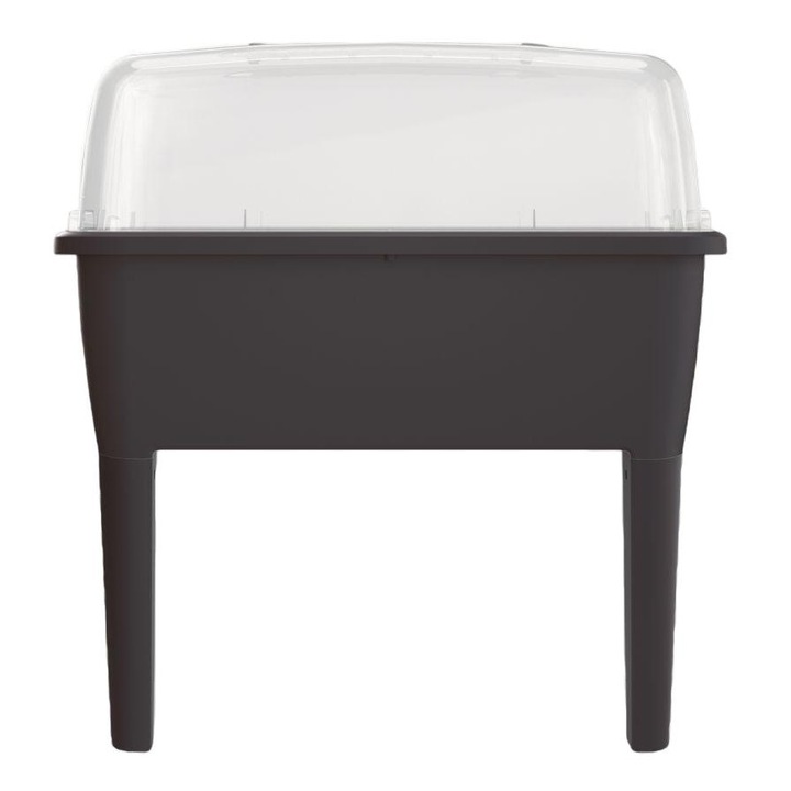 Mini sera, Prosperplast, Plastic, 77 cm, Negru/Transparent