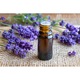 Solaris Plant Levendula illóolaj "Lavandula Angustifolia", 10ml