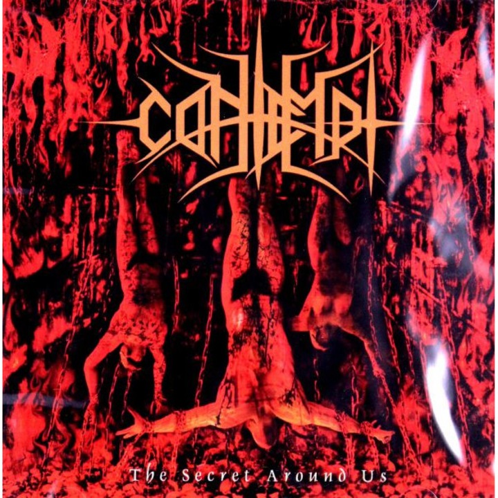 Contempt: The Secret Around Us [CD]