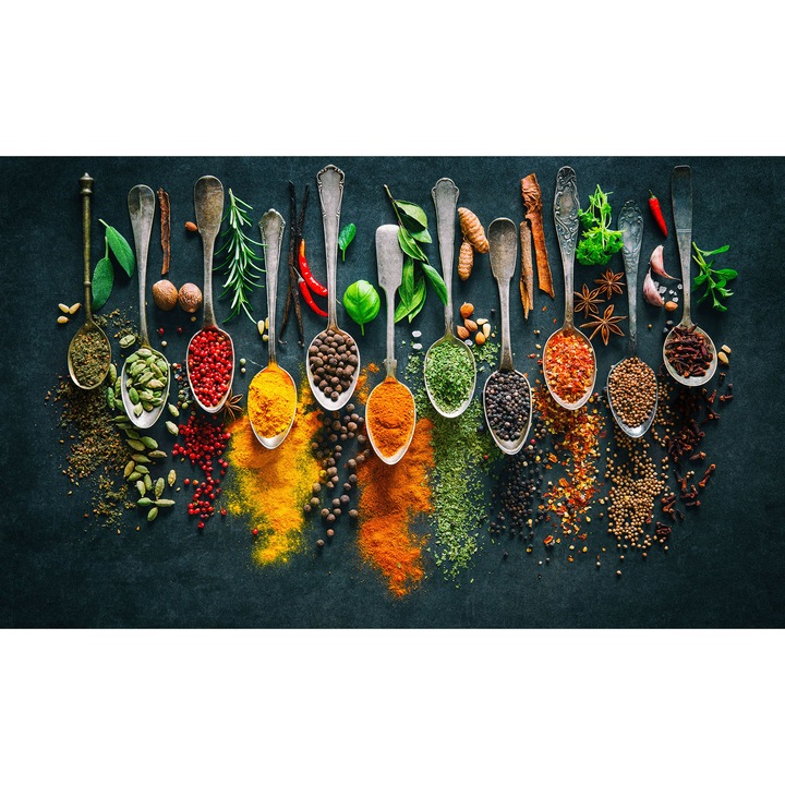 Декоративен панел 6мм безопасно стъкло, UV щампа, октопод oct218, 100x60см