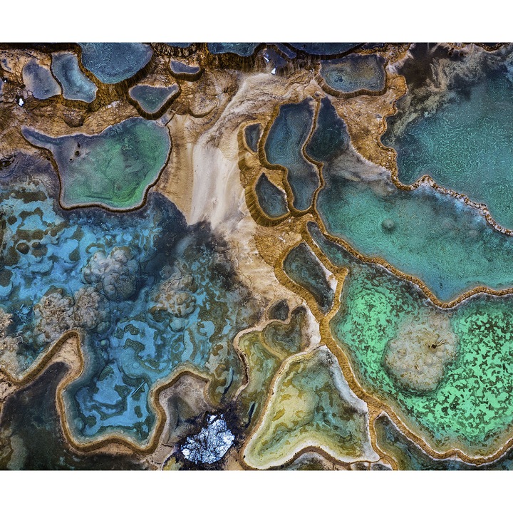 Безопасно кухненско стъкло, UV щампа, октопод oct230, 60x50см